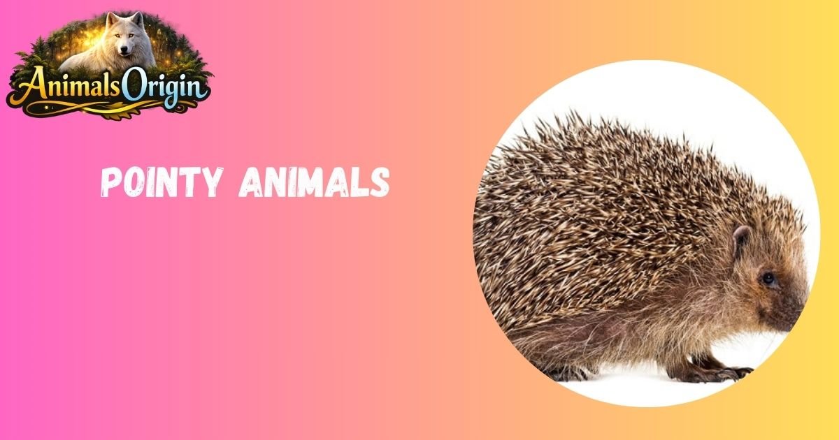Pointy Animals
