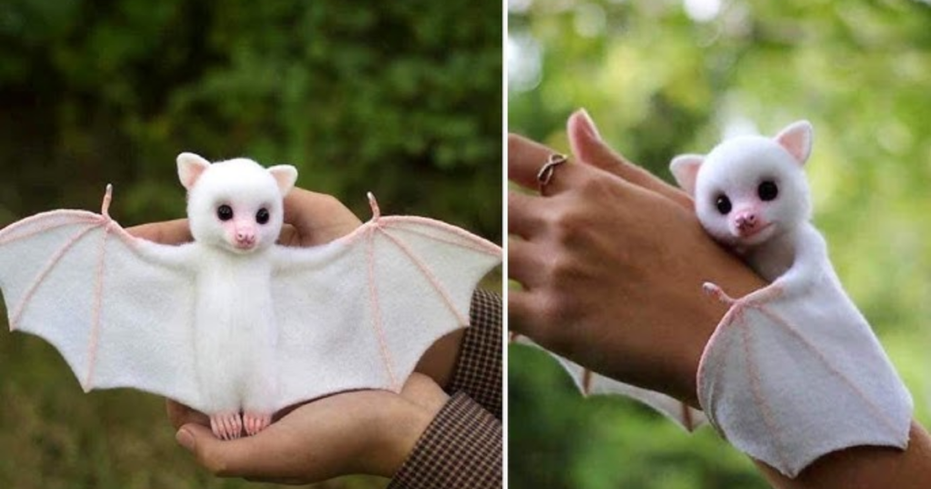 Amazing Facts About Cute Animals