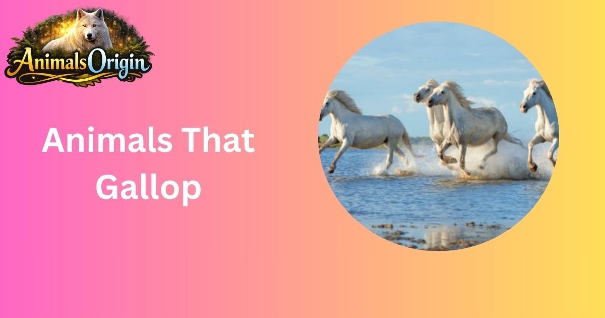 Animals That Gallop