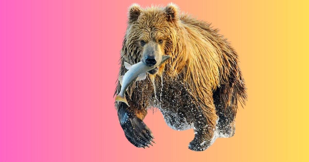 Animals That Gallop: Types, Examples, and Speed Facts