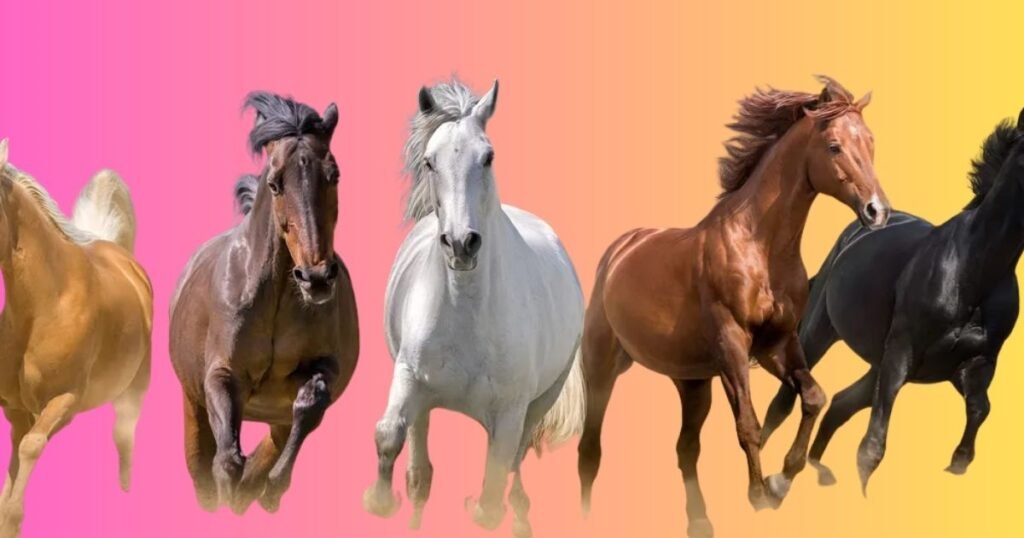 What is Meant By Galloping in Animals?