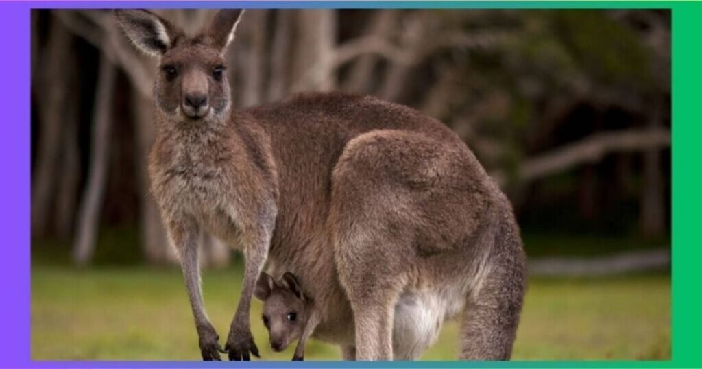 Why Energy Matters in Nature