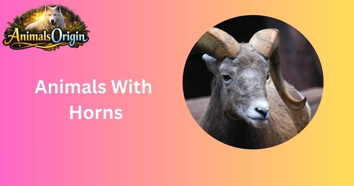 Animals With Horns