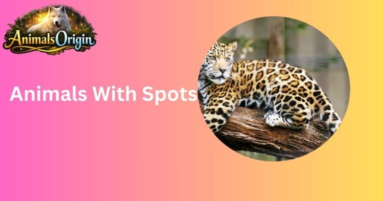 Animals With Spots