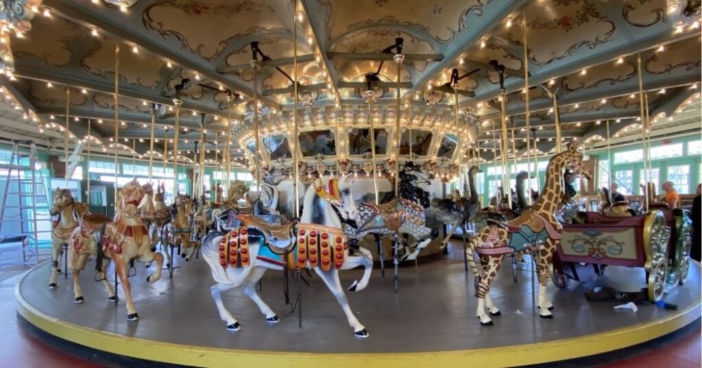 Why Do Some Animals Move in Carousels or Circles