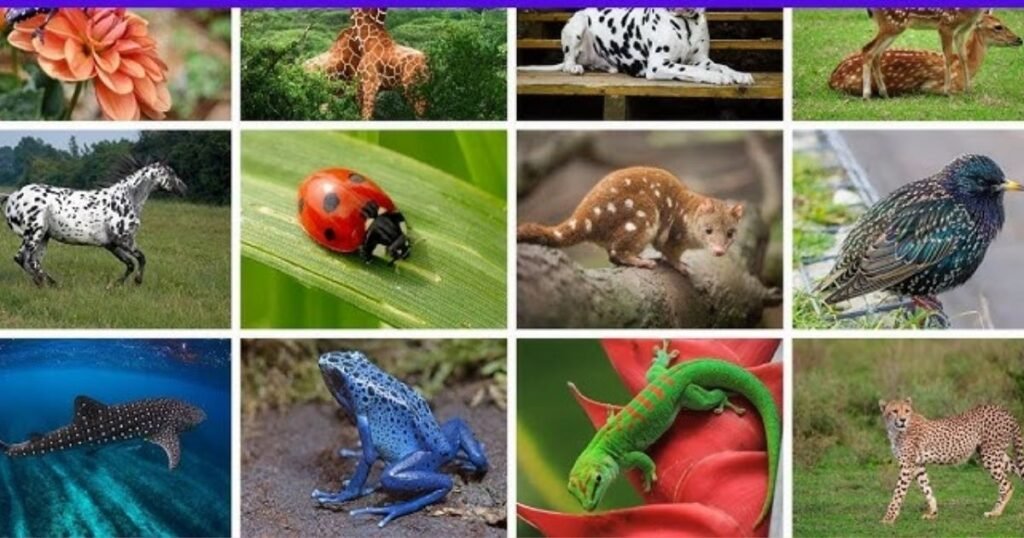 Why These Beautiful Animals Have Spots?