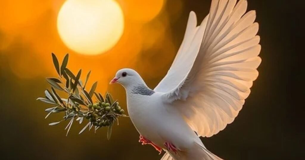 dove