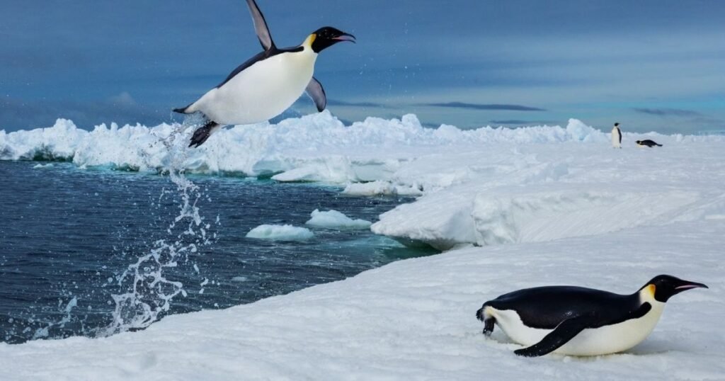Antarctica