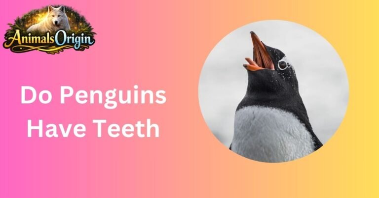 Do Penguins Have Teeth