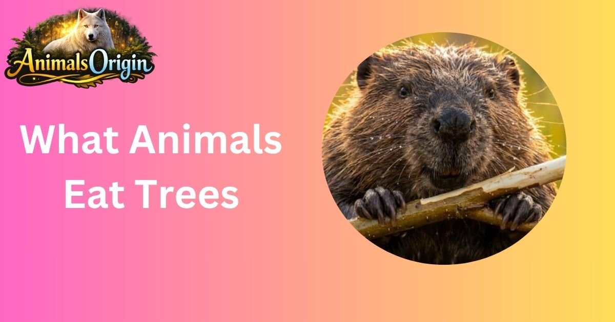 What Animals Eat Trees