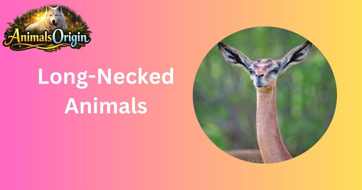 Long-Necked Animals